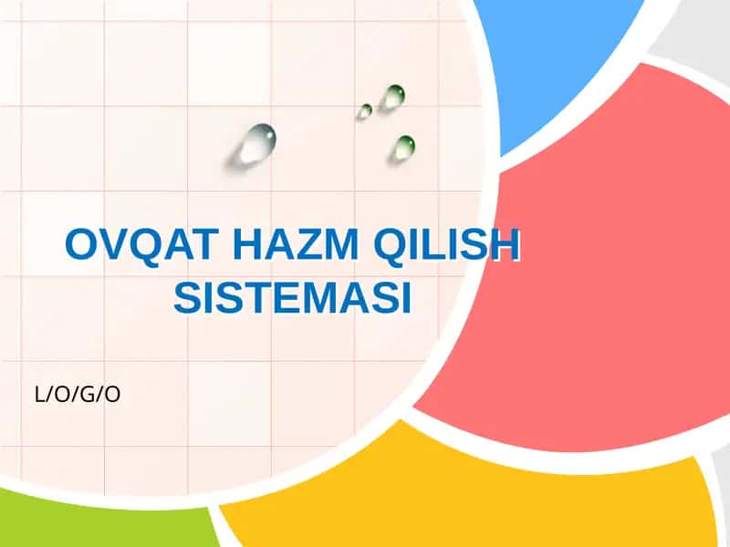 OVQAT HAZM QILISH SISTEMASI 1