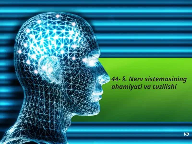Nerv sistema va tutinish.saxifasi 1