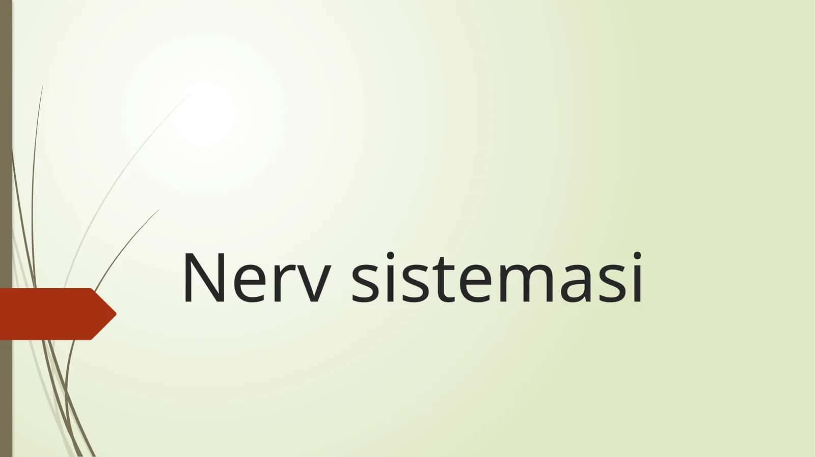Nerv sistemasi 1