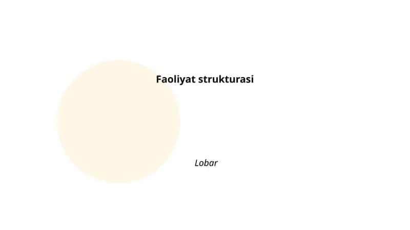 Faoliyat strukturasi 1