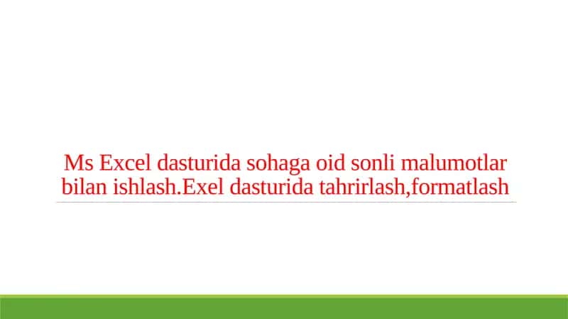 Ms Excel dasturida sohaga oid sonli malumotlar bilan ishlash.Exel dasturida tahrirlash,formatlash 1