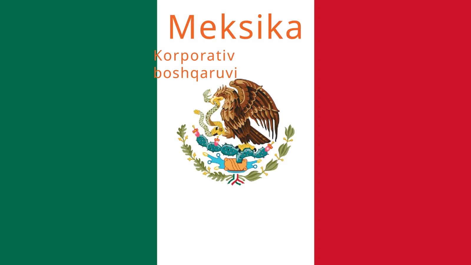 Meksika korporativ boshqaruv 1