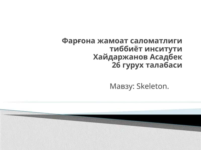 Skeleton 1