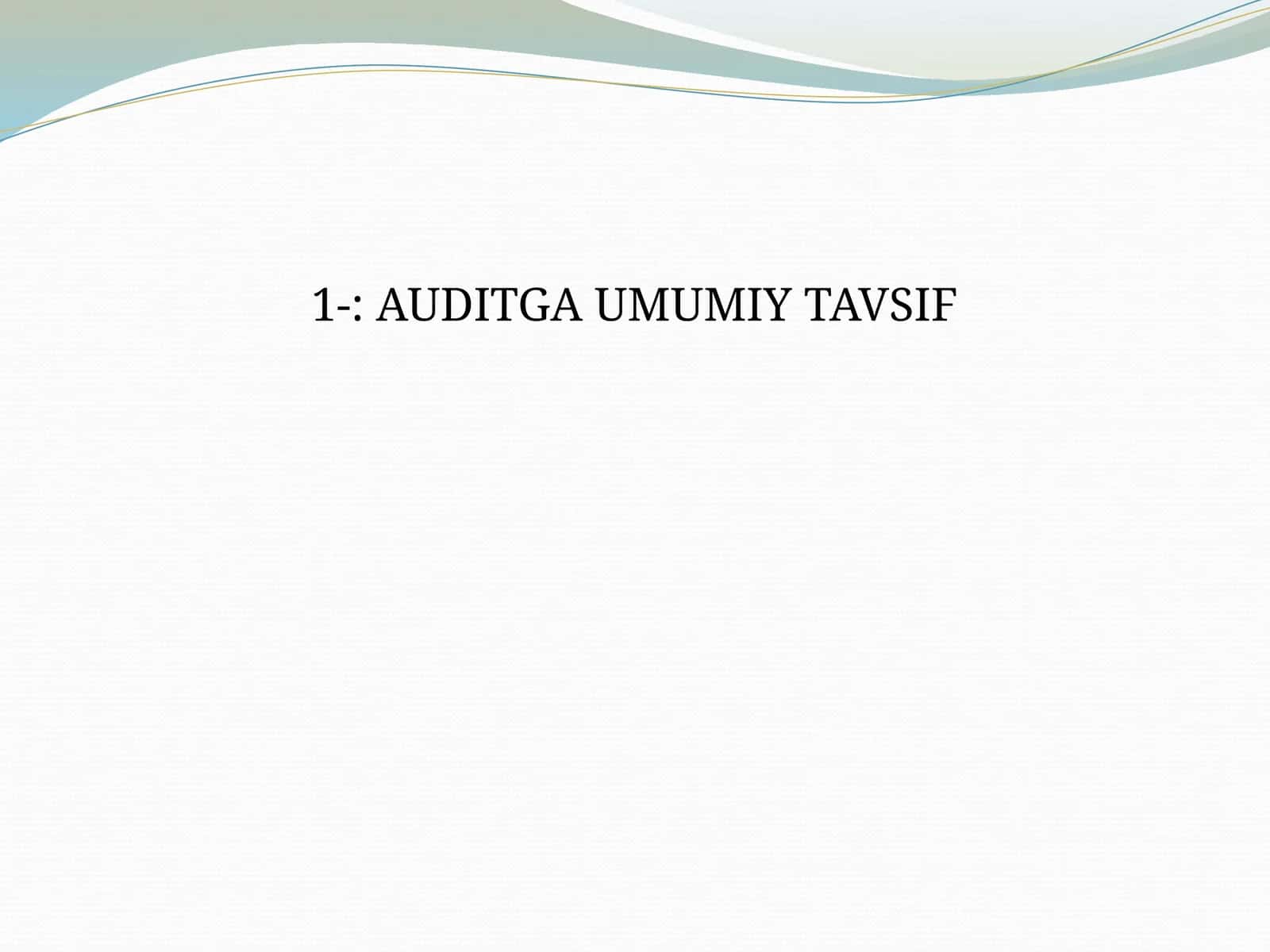 Auditga Umumiy Tavsif 1