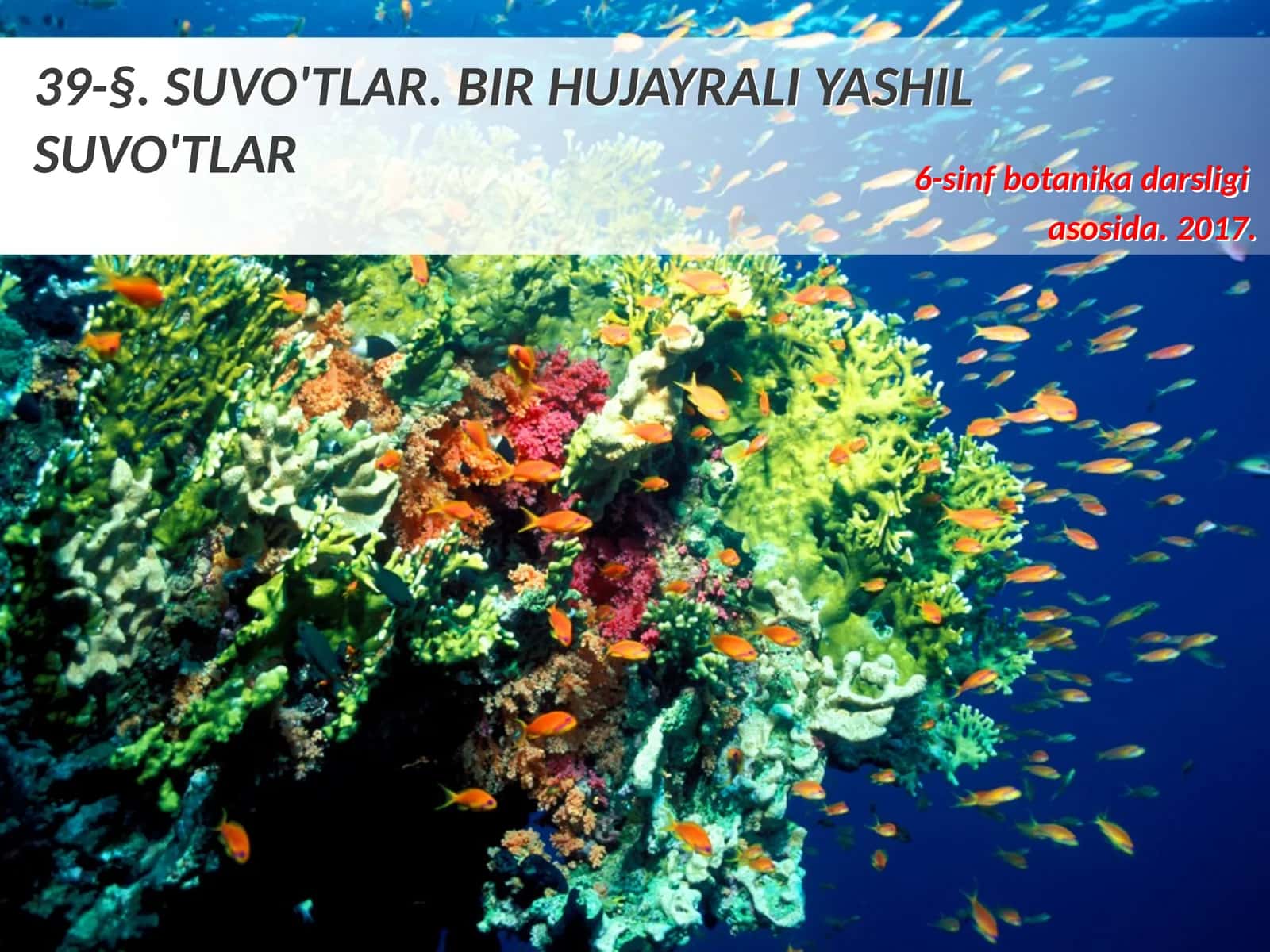 6-sinf Botanika Suvo'tlar, bir hujayrali yashil suvo'tlari 1
