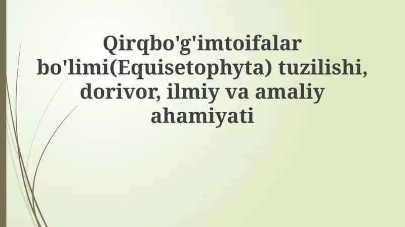 Equisetophyta bo'limi 1