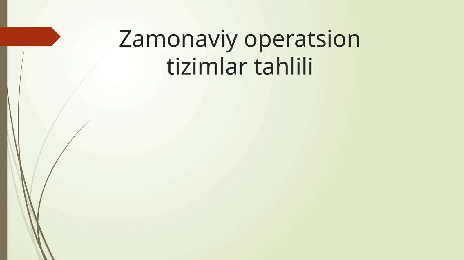 Tizimlidasturiy ta’minot 1