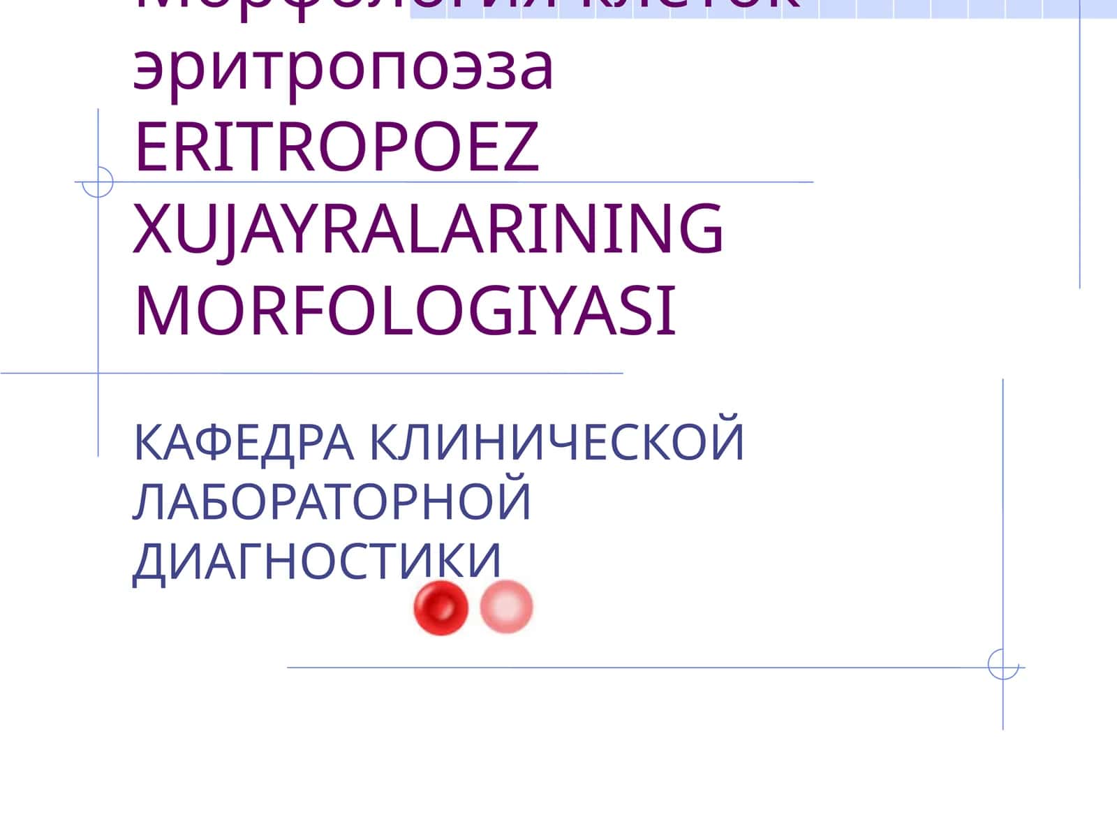 ERITROPOEZ XUJAYRALARINING MORFOLOGIYASI 1