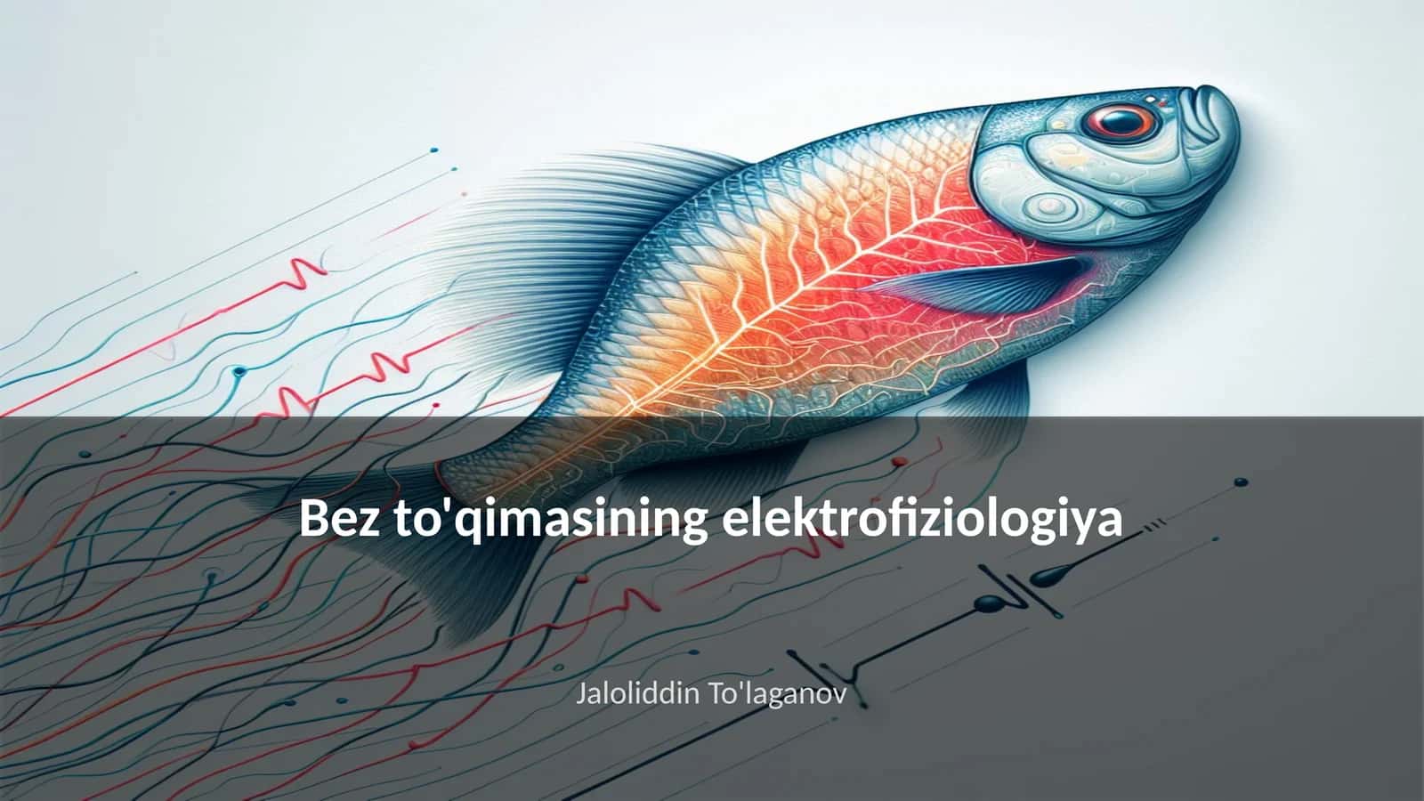 Bez to'qimasining elektrofiziologiya 1