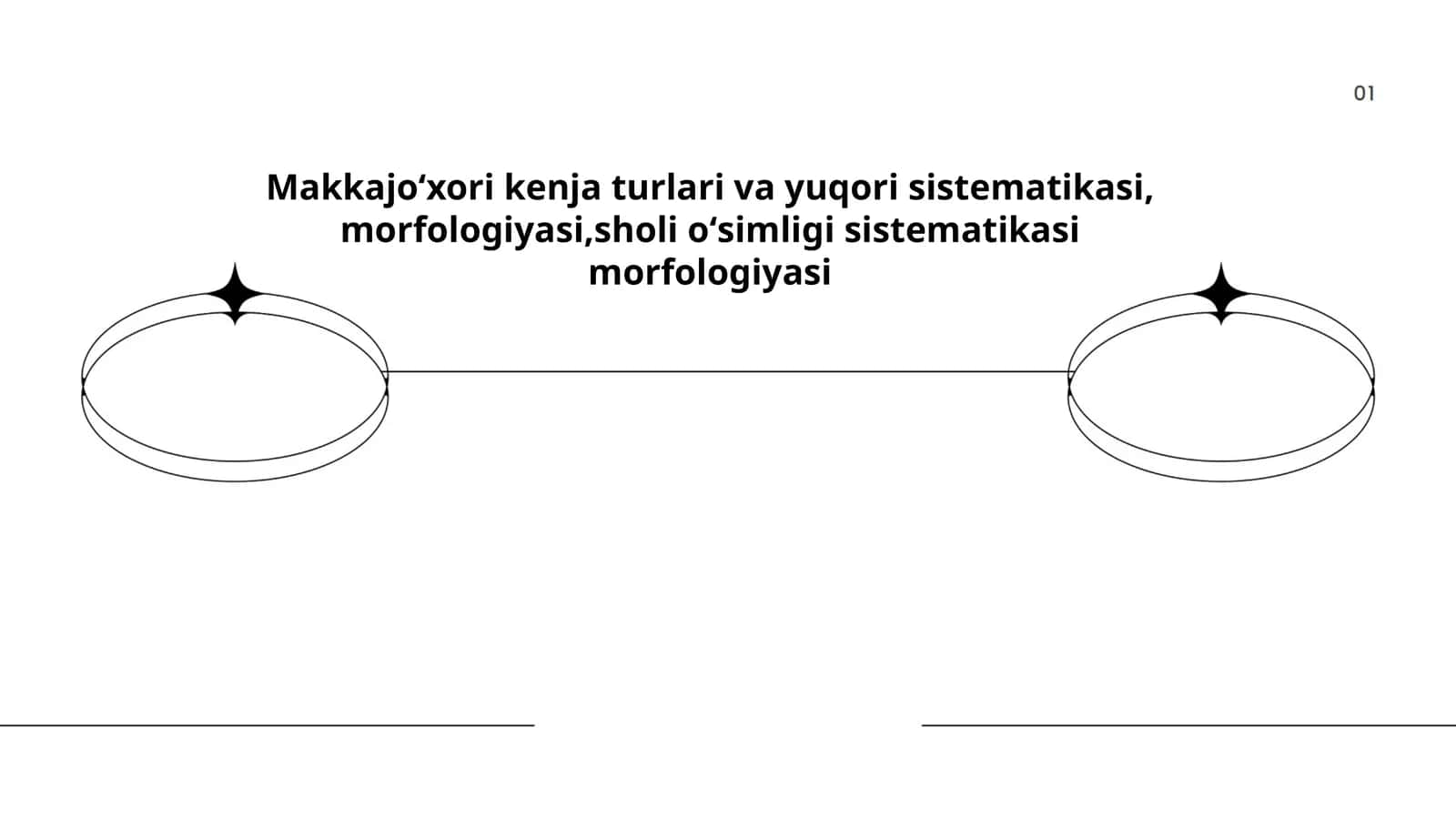 Makkajoʻxori turlari 1