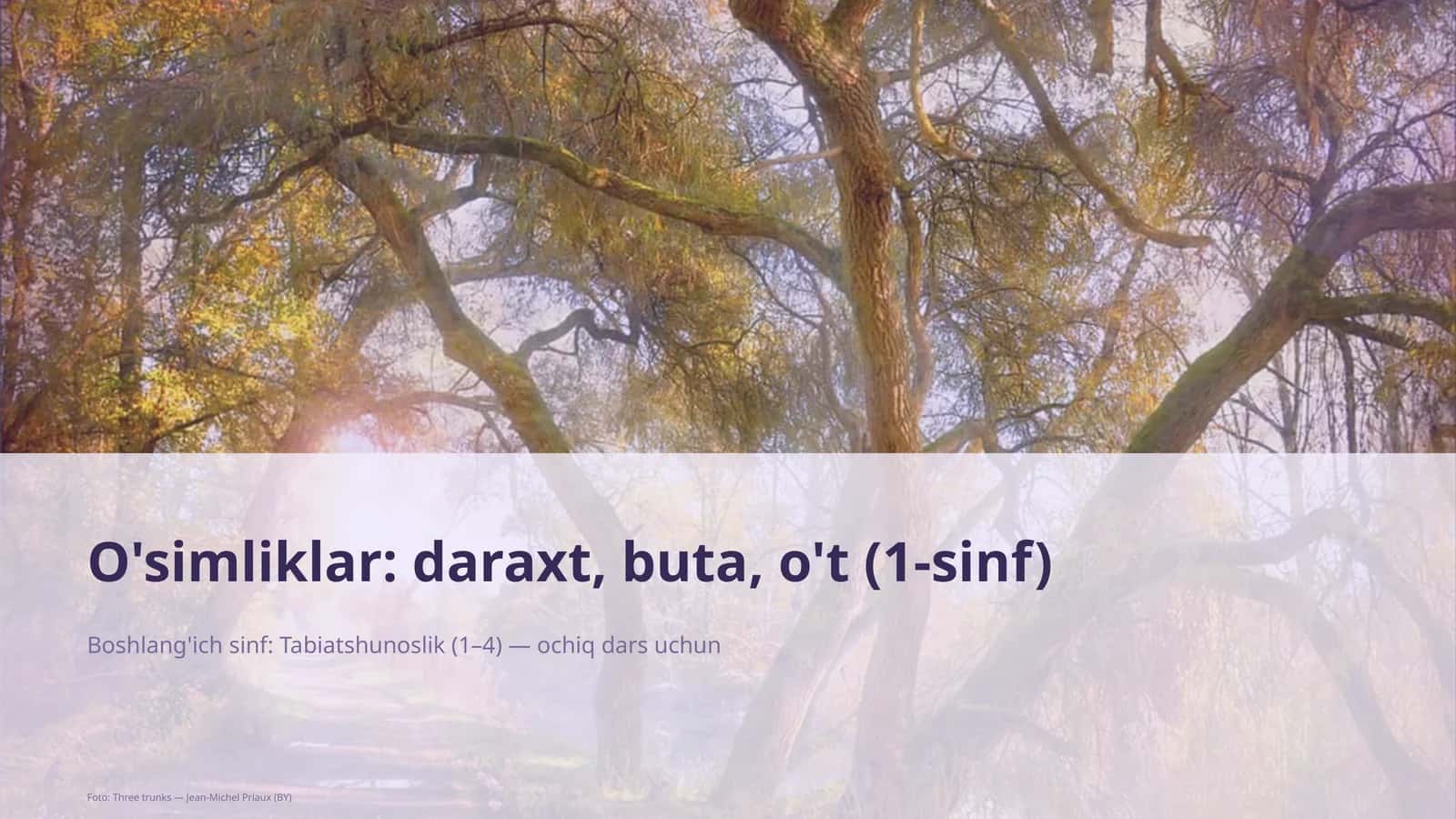 Tabiatshunoslik 1