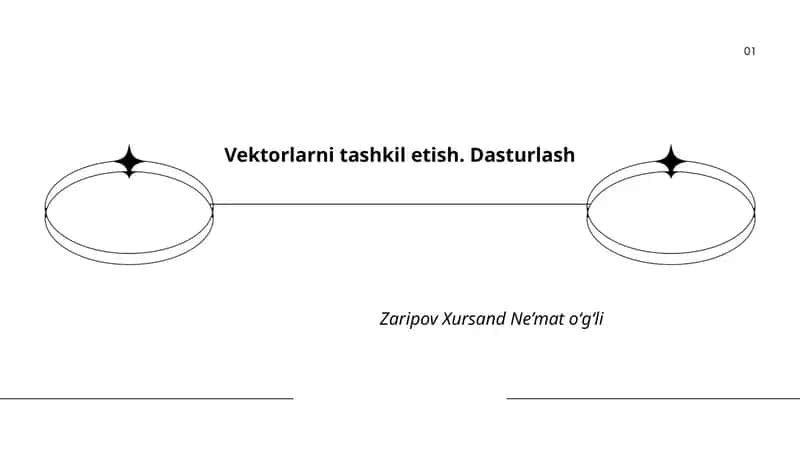 Vektorlarni tashkil etish. Dasturlash 1