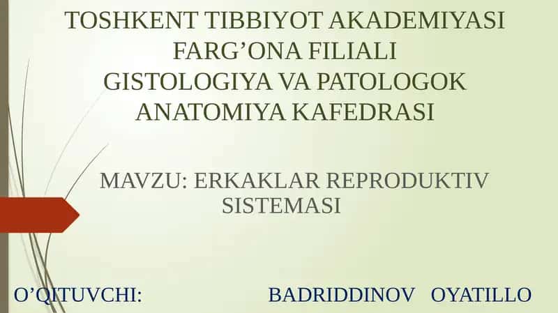 ERKAKLAR REPRODUKTIV SISTEMASI 1