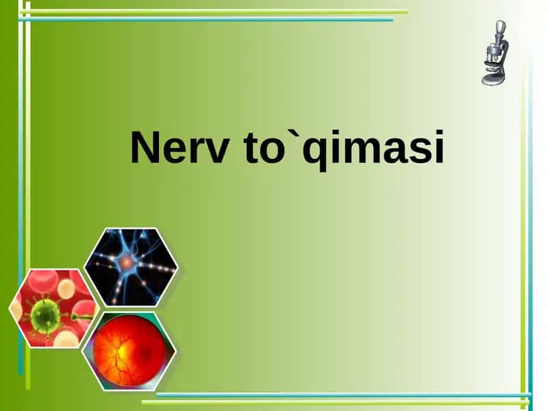 Nerv to`qimasi 1