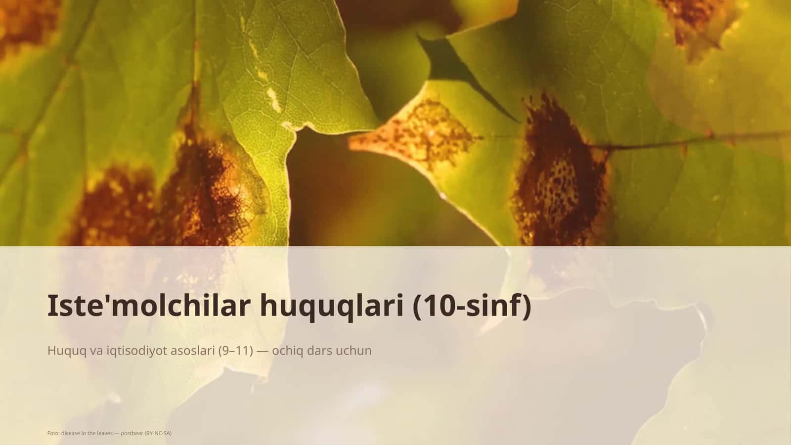 Iste'molchilar huquqlari (10-sinf) 1