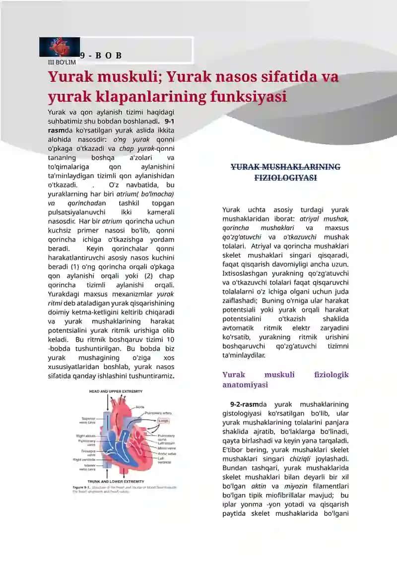 Yurak va qon aylanish tizimi