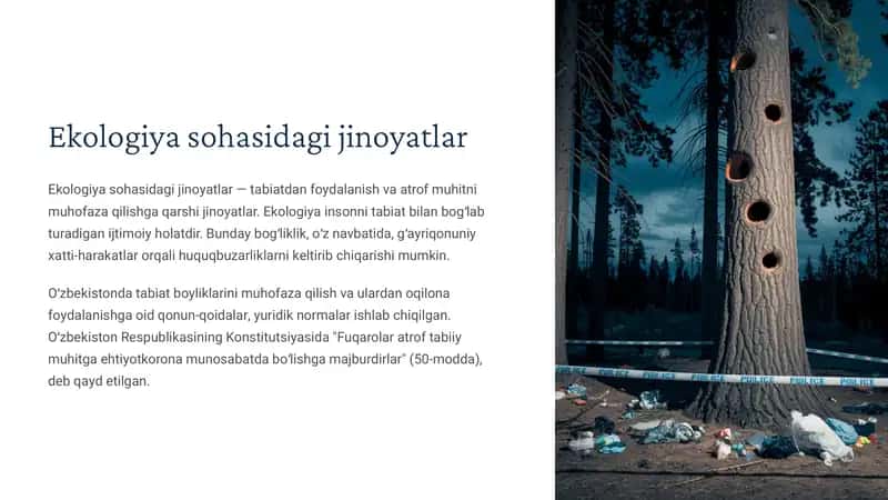 Ekologiya sohasidagi jinoyatlar 1