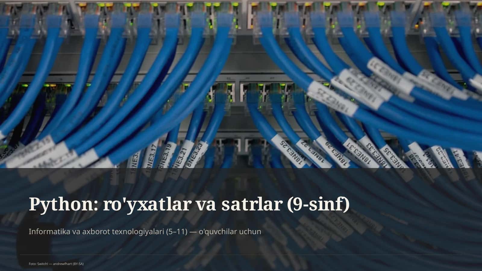 Python: ro'yxatlar va satrlar (9-sinf) 1