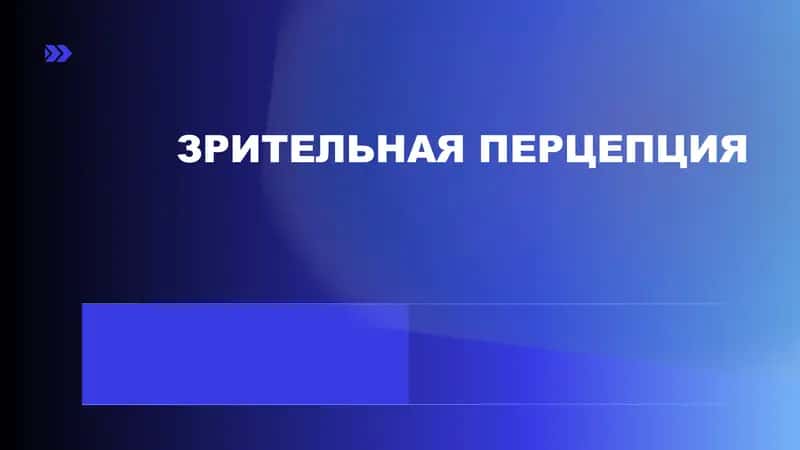 ЗРИТЕЛЬНАЯ ПЕРЦЕПЦИЯ 1
