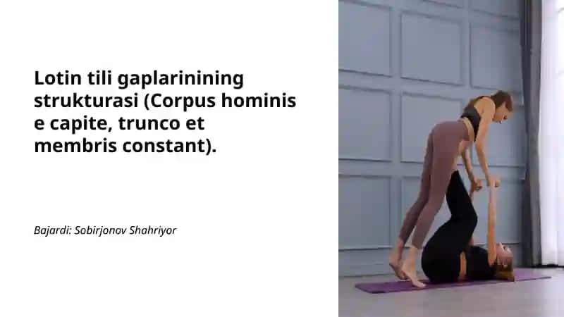 Lotin tili gaplarinining strukturasi