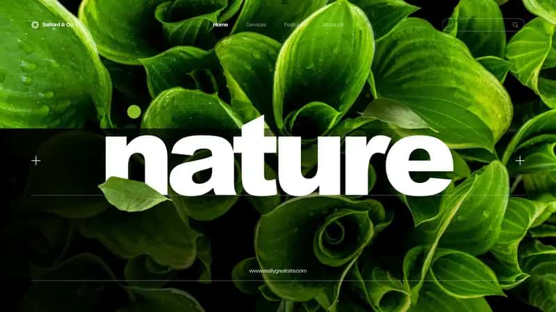 prezentatsiya taqdimot tabiat prezentation nature 1
