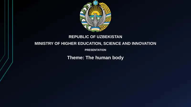 The human body 1