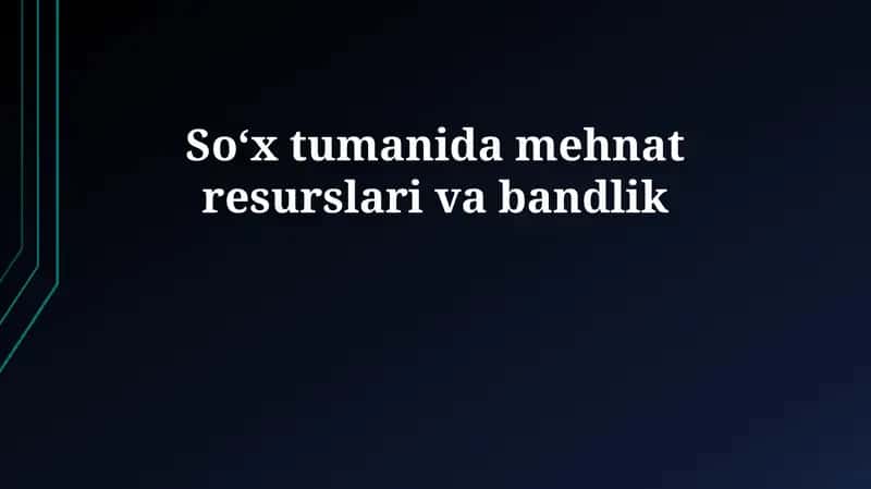 Soʻx tumanida mehnat resurslari va bandlik 1