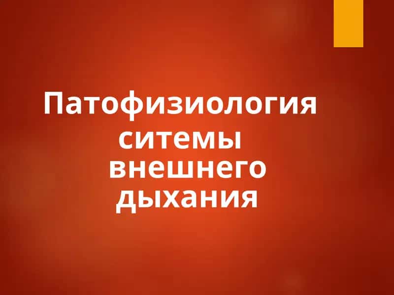 Патофизиология ситемы внешнего дыхания 1