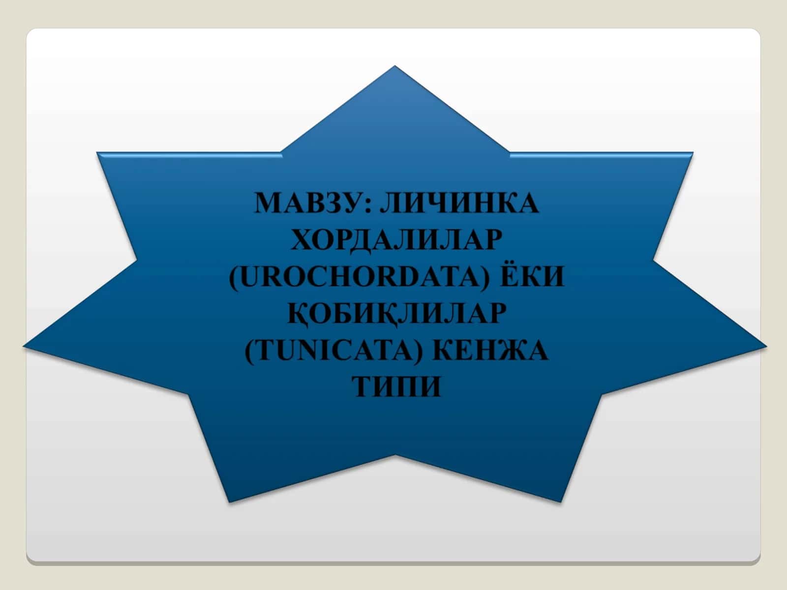 Xordalilar (Хордалилар) 1