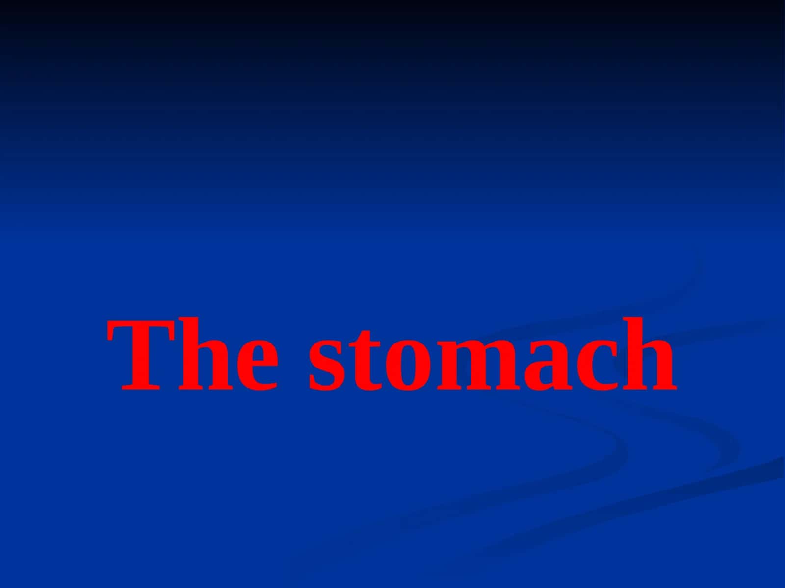 The stomach 1