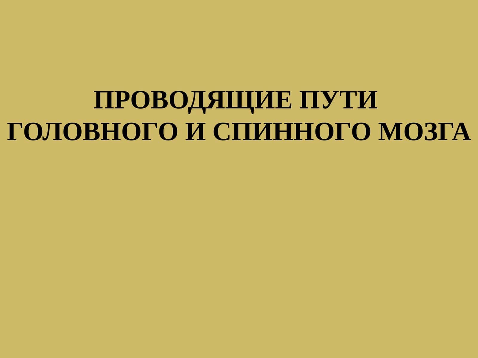 ПРОВОДЯЩИЕ ПУТИ ГОЛОВНОГО И СПИННОГО МОЗГА 1