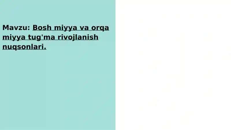 Bosh miyya va orqa miyya tug'ma rivojlanish nuqsonlari