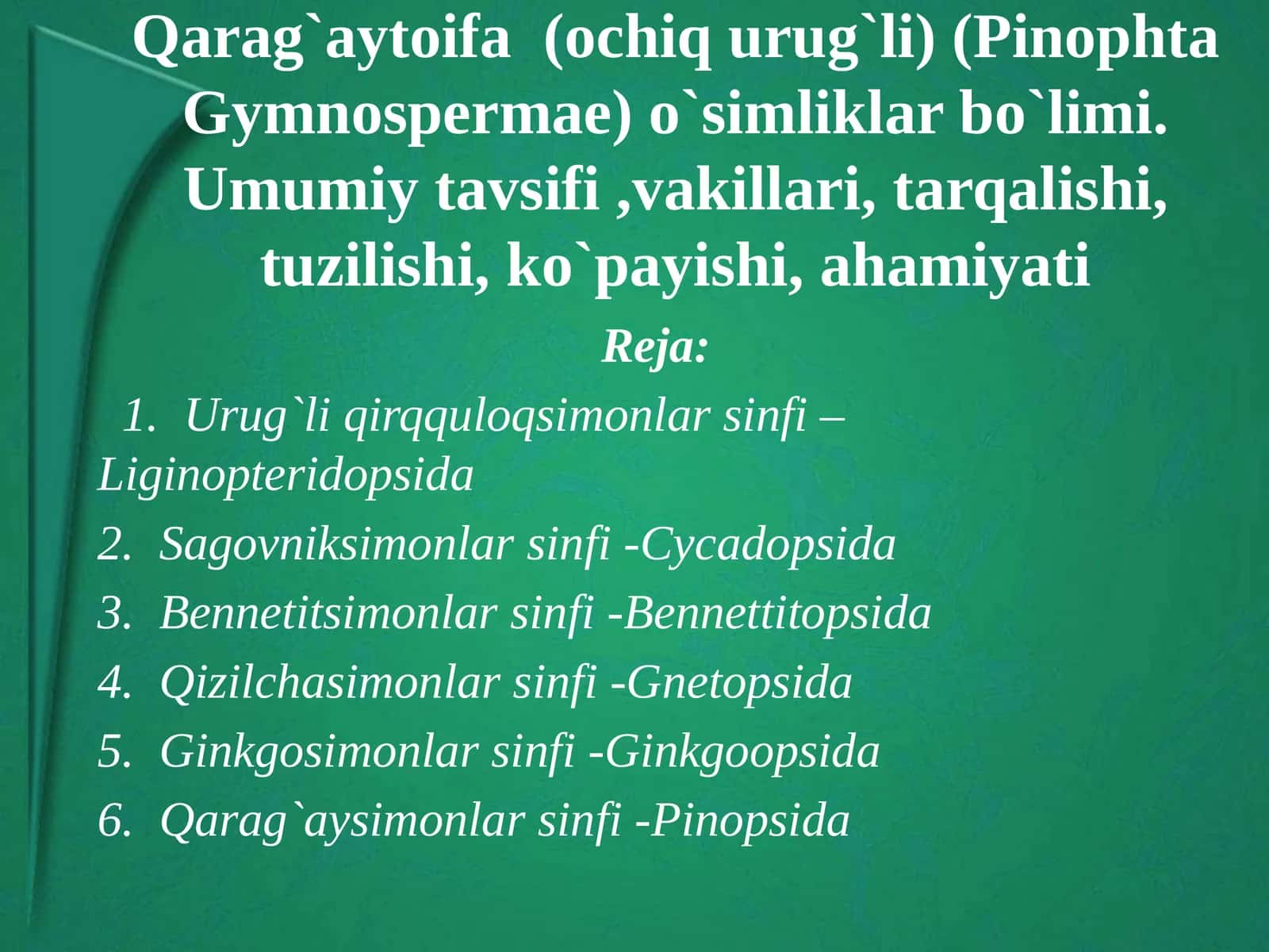 Qarag`aytoifa(ochiqurug`li) (PinophtaGymnospermae) 1