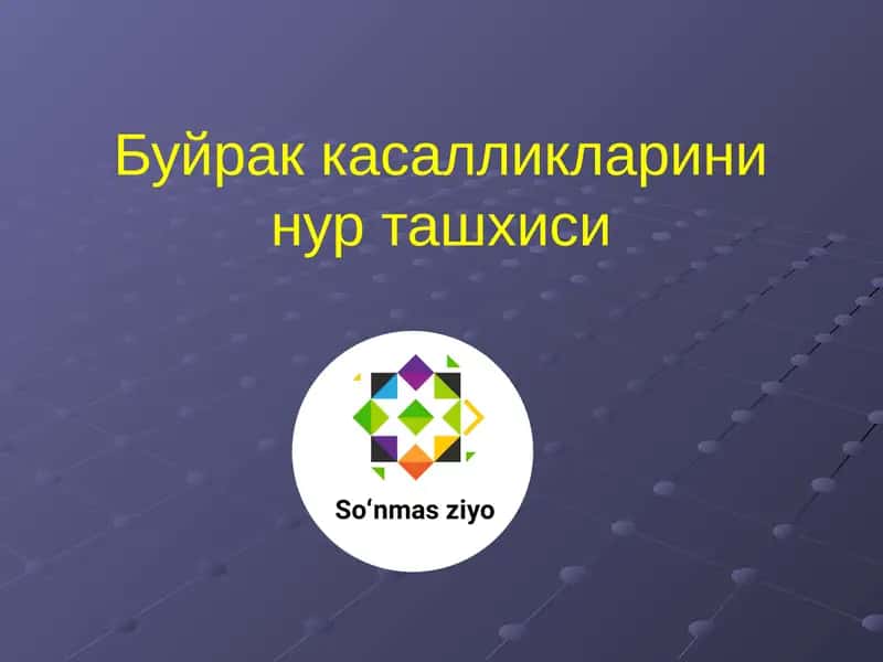 Буйрак касалликларини нур ташхиси 1