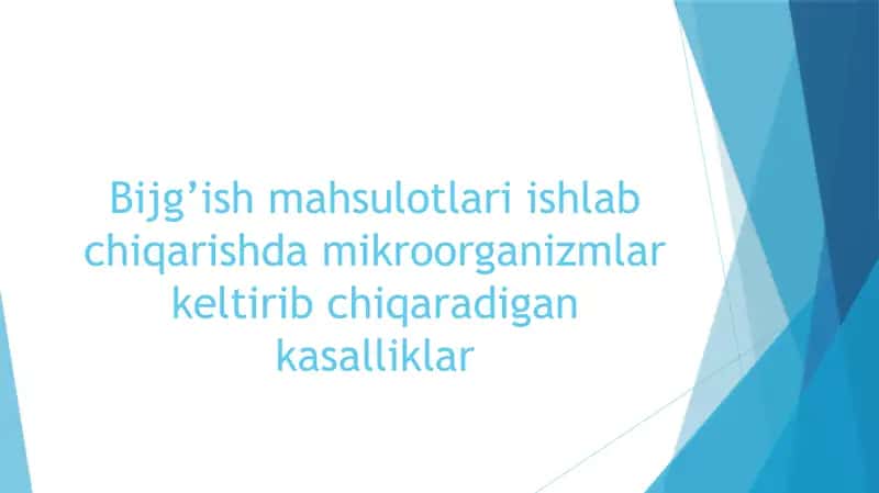 Bijg’ish mahsulotlari ishlab chiqarish 1