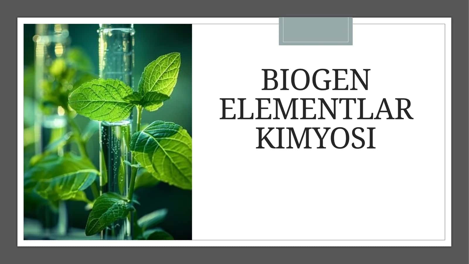 Biogenelementlar kimyosi 1