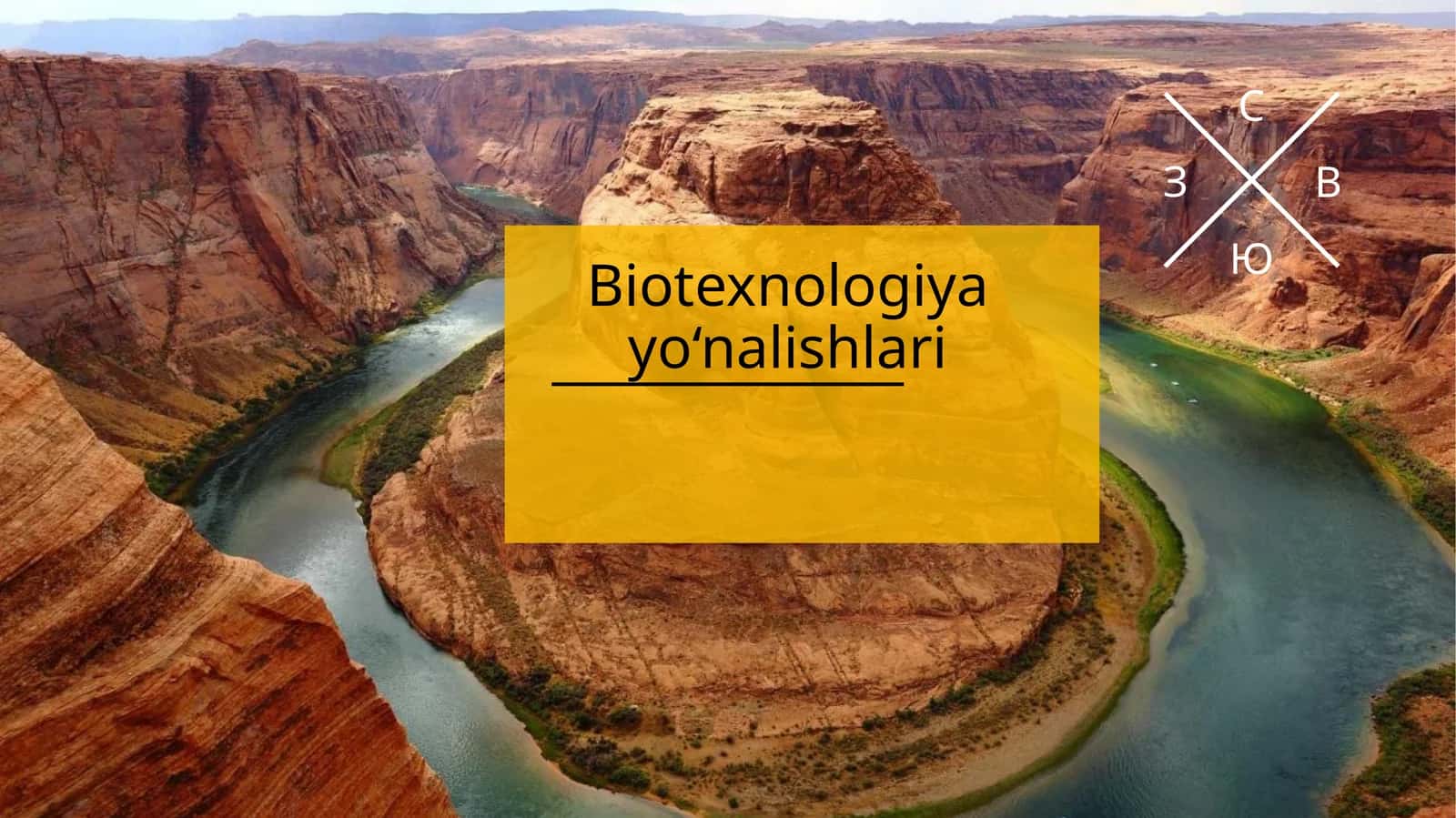 Biotexnologiya yo‘nalishlari 1