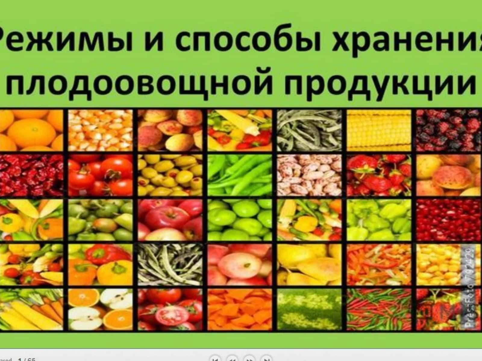 СТАДИИ И СПОСОБЫ ОЧИСТКИ ЗЕРНА И СЕМЯН 1