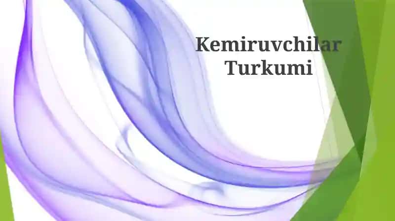 Kemiruvchilar Turkumi