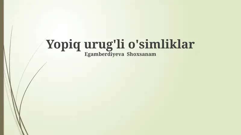 Yopiq urug'li o'simliklar 1