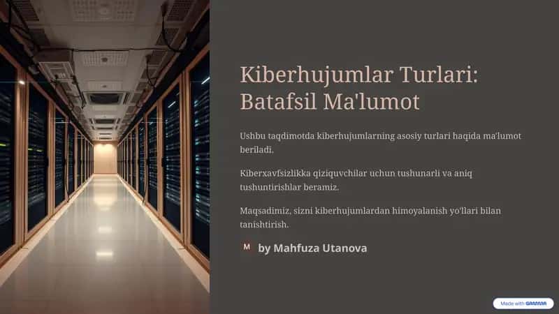 Kiberhujumlar Turlari: Batafsil Ma'lumot 1