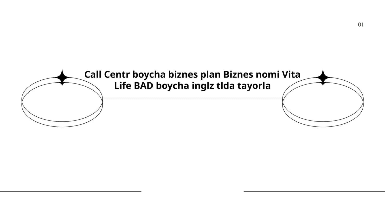 Vita Life BAD Call Center Business Plan 1