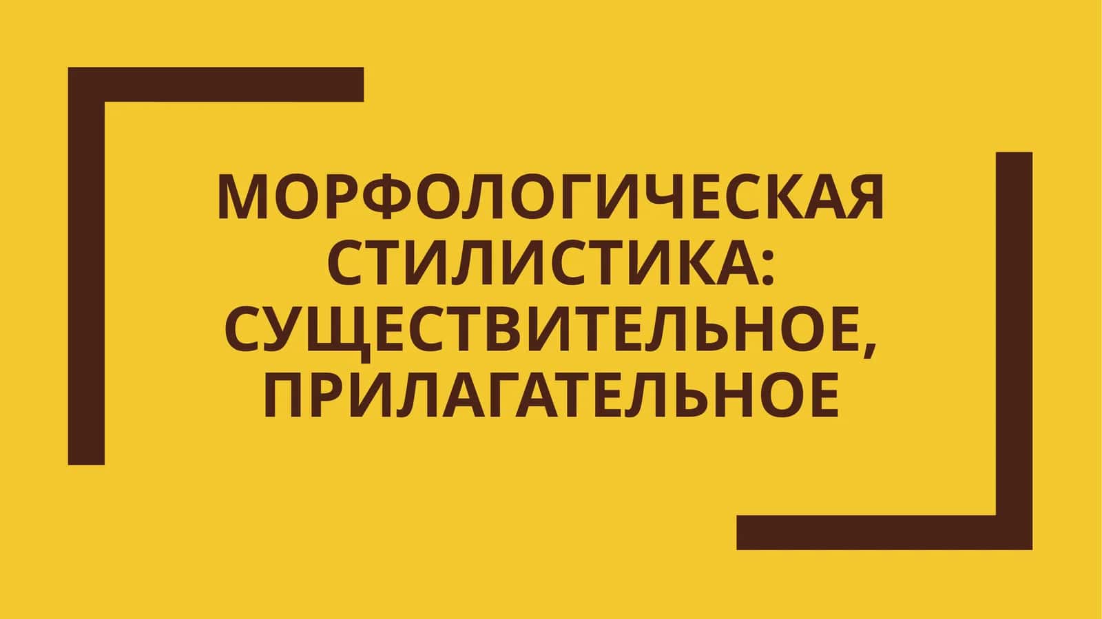 Морфологическая стилистика: существительное, прилагательное 1