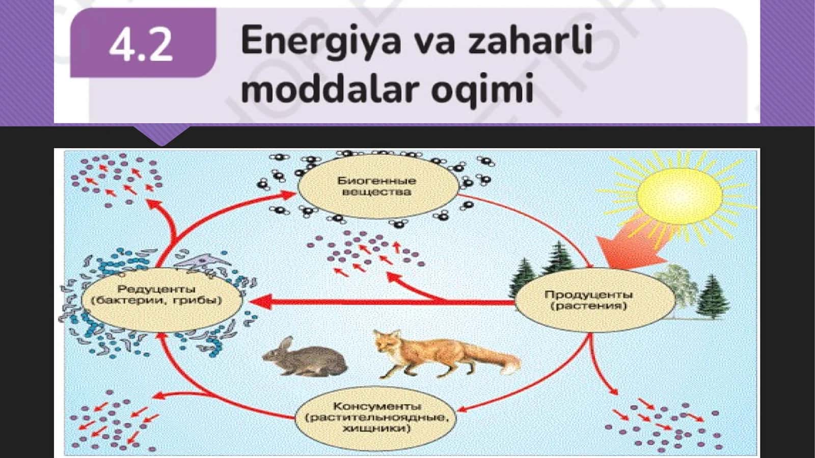 6-sinf Tabiiy fan energiya va moddalar almashinuvi 1