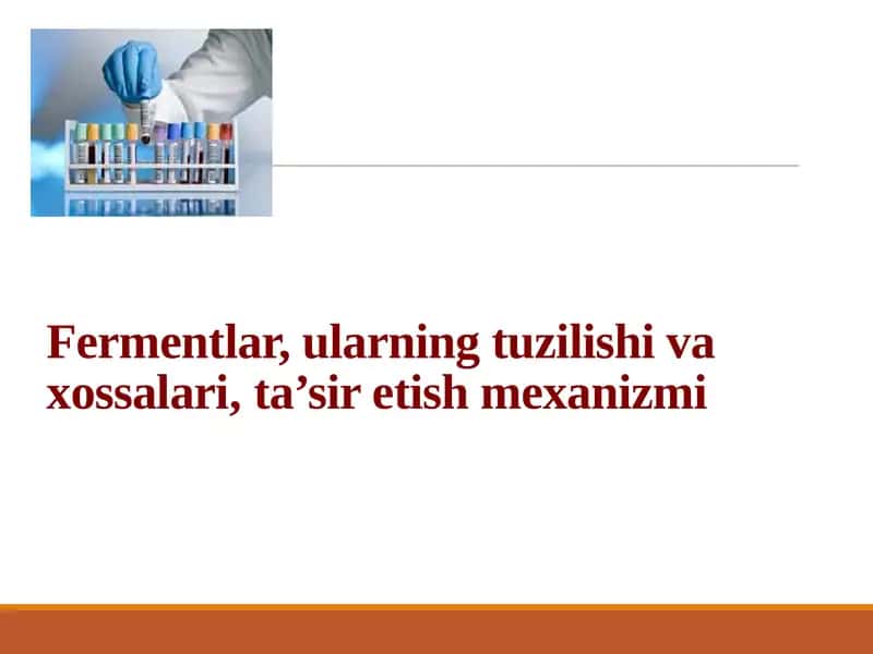 Fermentlar 1