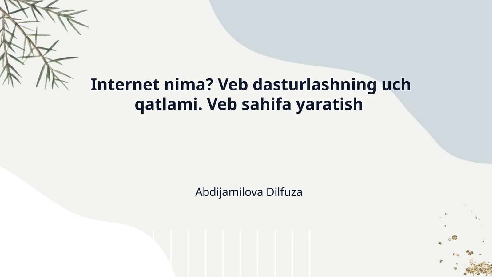 Internet nima? Veb dasturlashning uch qatlami. Veb sahifa yaratish 1
