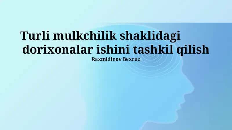 Turli Mulkchilik Shaklidagi Dorixonalar Ishini Tashkil Qilish 1