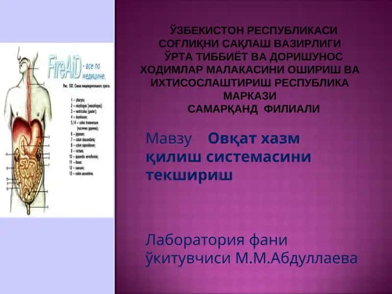 Овқат хазм қилиш системасини текшириш 1