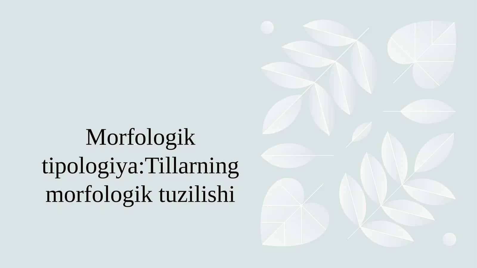 Morfologik tipologiya:Tillarning morfologik tuzilishi 1