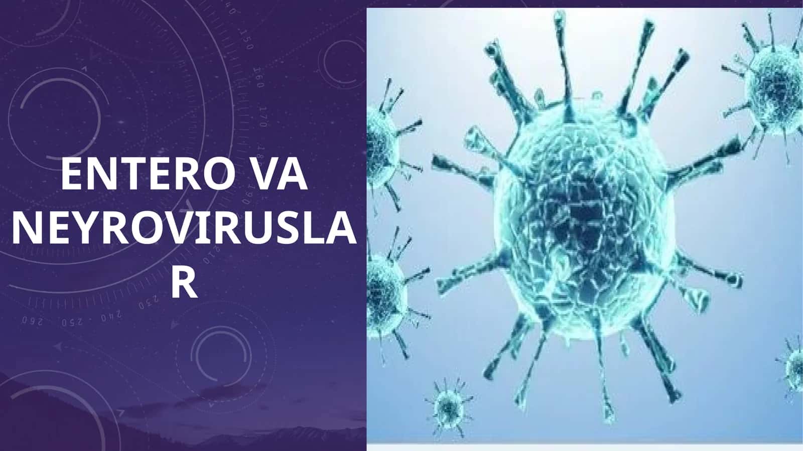 ENTERO VA NEYROVIRUSLAR 1